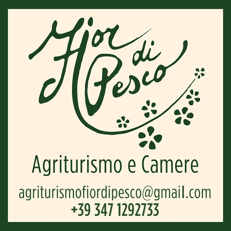 ホテルAgriturismo Fior Di Pesco ソンマカンパーニャ エクステリア 写真
